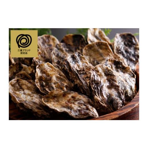 ふるさと納税 牡蠣 生牡蠣 三重県 志摩市 清浄 的矢かき 20個入 殻付き 生かき かき 牡蠣 生牡蠣 ブランド 的矢牡蠣 生食 20個 生食用 三重県 伊勢 志摩 志摩…