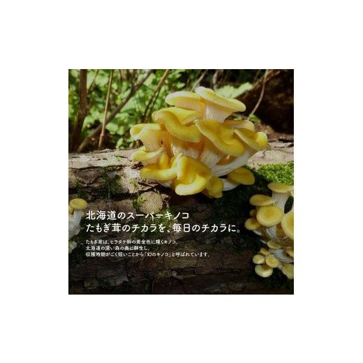 ふるさと納税 美容 北海道 南幌町 エルゴチオネイン含有 たもぎ茸濃縮エキス バイオゴッド 4カ月分 エルゴチオネイン タモギダケ タモギタケ バイオゴット NP1…の画像