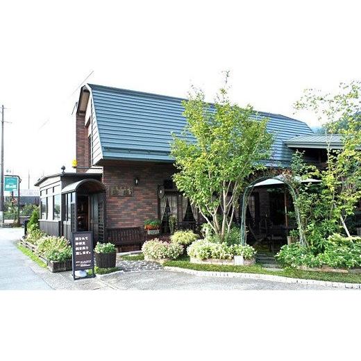 ふるさと納税 岐阜県 下呂市 自家焙煎珈琲店「緑の館」／45年の伝統レギュラーブレンド豆 500g×2（計1kg）珈琲 コーヒー 豆 粉 下呂温泉｜furusatochoice｜08