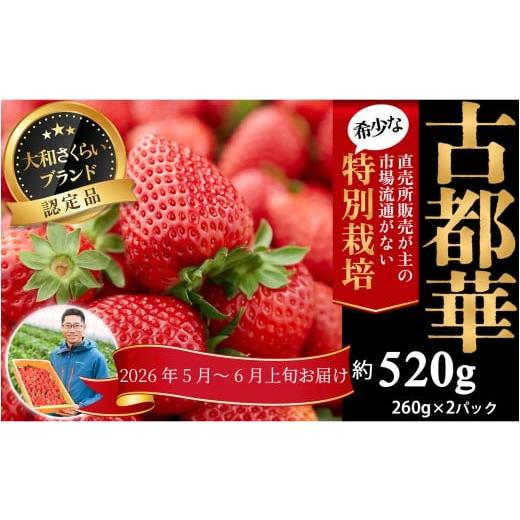 ふるさと納税 いちご 奈良県 桜井市 M-AF32. 5月〜6月上旬発送 減農薬いちご「古都華」2パック 特別栽培農産物