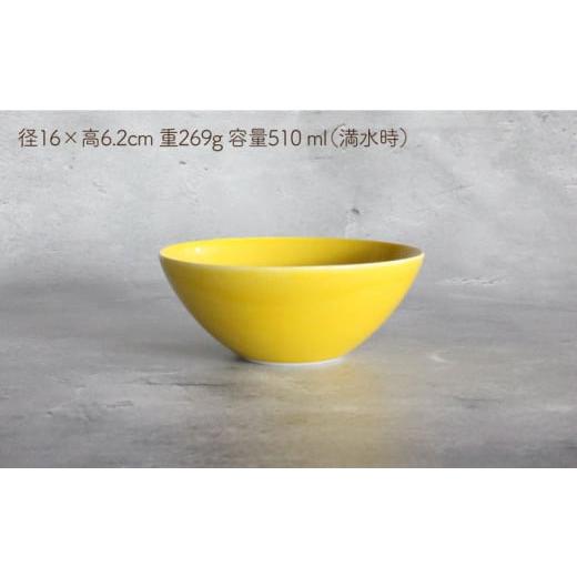 ふるさと納税 食器・グラス 皿 長崎県 波佐見町 波佐見焼 Natural