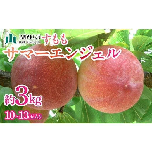 ふるさと納税 もも 山梨県 南アルプス市  2026年発送先行予約 すもも「サマーエンジェル」10〜13玉入り×2箱約3kg ALPAA015の画像