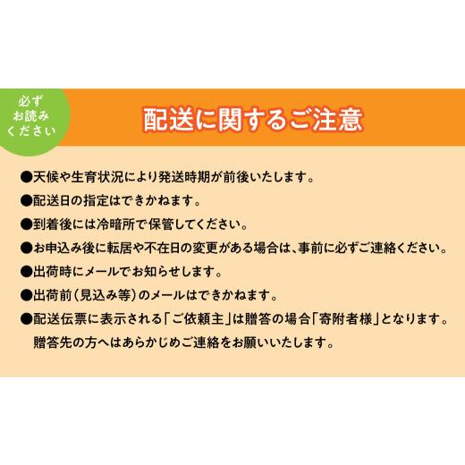 ふるさと納税 もも 山梨県 南アルプス市  2026年発送先行予約 すもも「サマーエンジェル」10〜13玉入り×2箱約3kg ALPAA015の画像