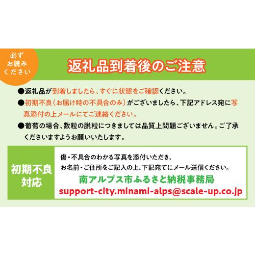 ふるさと納税 もも 山梨県 南アルプス市  2026年発送先行予約 すもも「サマーエンジェル」10〜13玉入り×2箱約3kg ALPAA015の画像