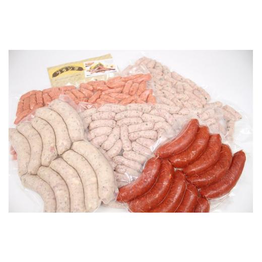 ふるさと納税 肉 ソーセージ 山梨県 北杜市 定期便 白州フランク業務用詰め合わせ定期便　総重量8.9kg　３カ月連続　冷凍保存可 3ヶ月定期便 ウィンナー ソー…