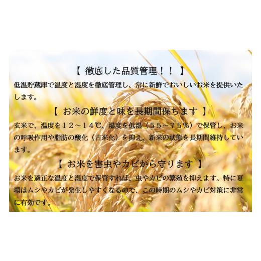 ふるさと納税 米 はえぬき 山形県 舟形町 令和7年産 通常精米 はえぬき