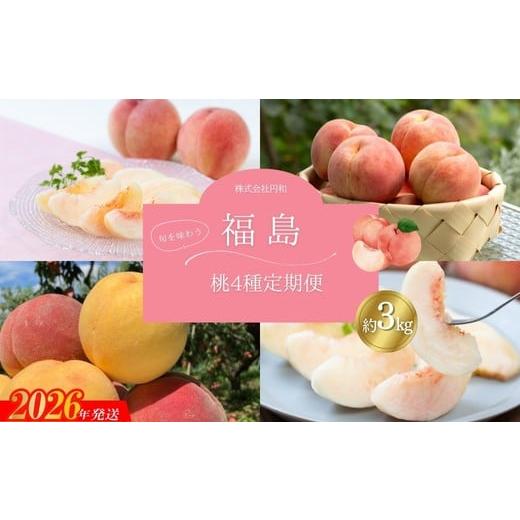 ふるさと納税 果物の詰合せ 福島県 福島市 No.1625福島のもも4種定期便 各約3kg 2026年発送 先行予約
