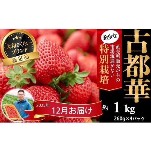 ふるさと納税 いちご 奈良県 桜井市 M-DB3. 2025年12月発送 減農薬いちご「古都華」4パック 特別栽培農産物