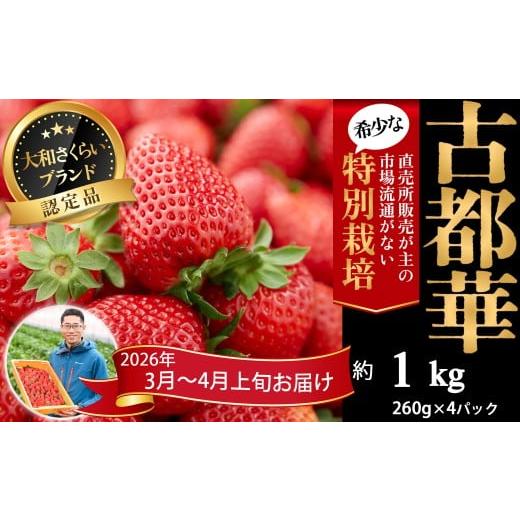 ふるさと納税 いちご 奈良県 桜井市 M-CD3. 3月〜4月上旬発送 減農薬いちご「古都華」4パック 特別栽培農産物