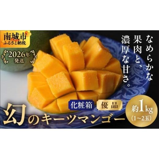 ふるさと納税 マンゴー 沖縄県 南城市 2026年発送 優品 幻のキーツマンゴー約1kg(化粧箱)1玉〜2玉 優品1kg (1~2玉)