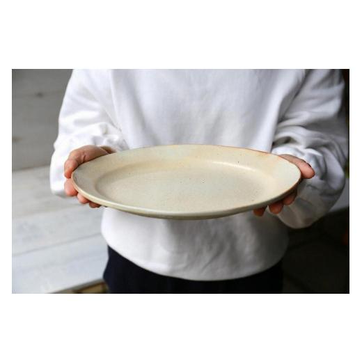 ふるさと納税 陶磁器・漆器・ガラス 滋賀県 甲賀市 信楽焼 鉄散だ円リム皿（大） 古谷製陶所 陶器 食器 贈り物 ギフト 人気_4