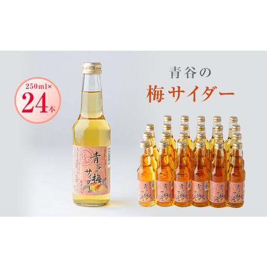 ふるさと納税 炭酸飲料 サイダー 京都府 城陽市 青谷の梅サイダー250ml　 1258587_1