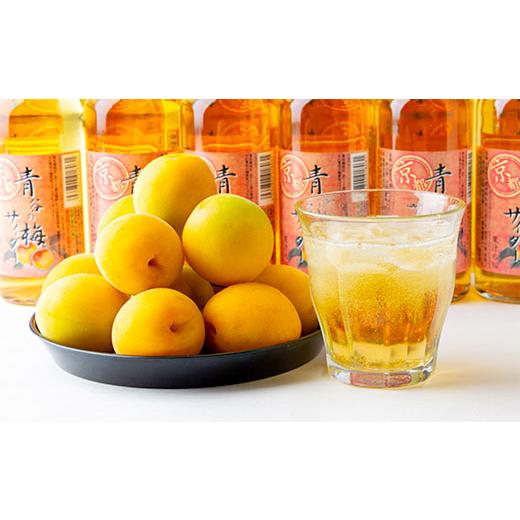 ふるさと納税 炭酸飲料 サイダー 京都府 城陽市 青谷の梅サイダー250ml　 1258587_2