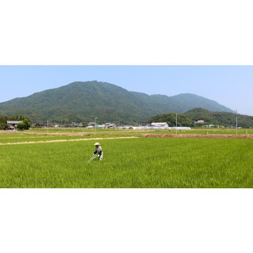 ふるさと納税 食器・グラス 徳利 新潟県 弥彦村 錫 酒器 純錫 片口丸型(1合) 約250ml | 手作り 鎚起 伝統工芸 新潟 日本酒 冷酒 贈答品 贈答 ギフト プレゼン…の画像