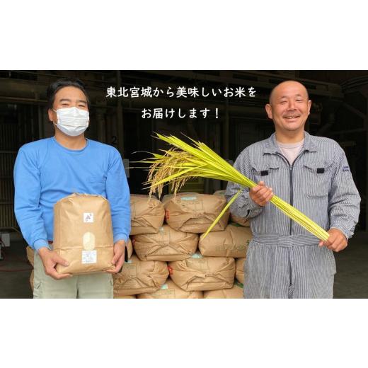 短納期・高品質 ふるさと納税 宮城県 村田町 令和5年宮城県産 つや姫 玄米10kg(5kg×2袋)＜村田町産＞【1259867】