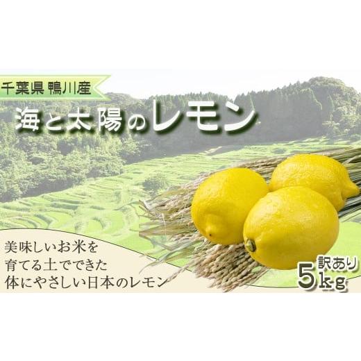 ふるさと納税 みかん・柑橘類 レモン 千葉県 鴨川市 [先行予約] 皮まで食べられる 海と太陽のレモン 訳あり品-良品- 5kg(約40個) 12月発送 0011-0058 …