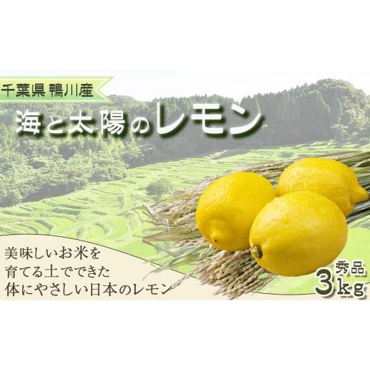 ふるさと納税 みかん・柑橘類 レモン 千葉県 鴨川市 [先行予約] 皮まで食べられる 海と太陽のレモン 秀品 3kg(約25個) 11月発送 0011-0057 11月発送