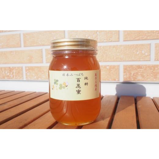 食品 日本蜜蜂完熟はちみつ（食べ比べ）600g✕2