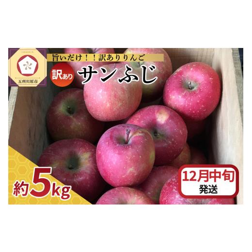 ふるさと納税 りんご 青森県 五所川原市 2025年12月中旬発送 訳あり りんご サンふじ 5kg 青森 12月中旬発送(11日〜20日)