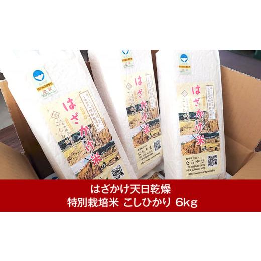 ふるさと納税 新潟県 三条市 こしひかり 6kg 昔ながらのはざ掛け(はざかけ)米 特別栽培米 天日干し 長持ち真空パック コシヒカリ