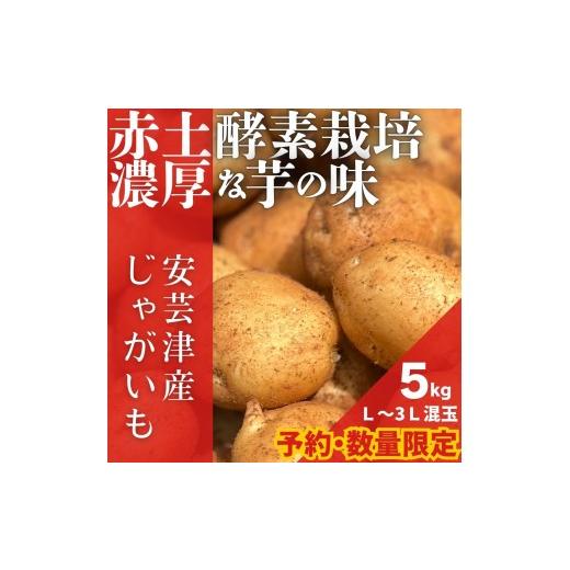 ふるさと納税 野菜類 じゃがいも 広島県 東広島市 予約商品 安芸津のじゃがいも 5kg 配送時期:7月上旬〜下旬
