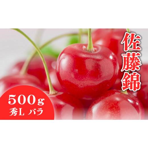 ふるさと納税 果物類 さくらんぼ 山形県 天童市 08-01-021 さくらんぼ(佐藤錦)500g