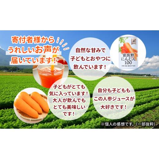 ふるさと納税 果汁飲料 にんじん 北海道 南富良野町  3ヵ月連続お届け JAふらの人参ジュース 富良野にんじん100 30缶セット 定期便 果汁飲料 野菜飲料 にんじ…の画像