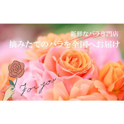 ふるさと納税 雑貨・日用品 花 奈良県 平群町  定期便 3回 市場をはじめ愛好家から 高評価 バラ の 花束 （ 15〜18本 ） ブーケ サイズ（ 30cm 程度） | 花 薔…の画像