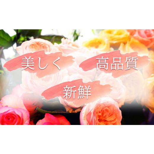 ふるさと納税 雑貨・日用品 花 奈良県 平群町  定期便 3回 市場をはじめ愛好家から 高評価 バラ の 花束 （ 15〜18本 ） ブーケ サイズ（ 30cm 程度） | 花 薔…の画像