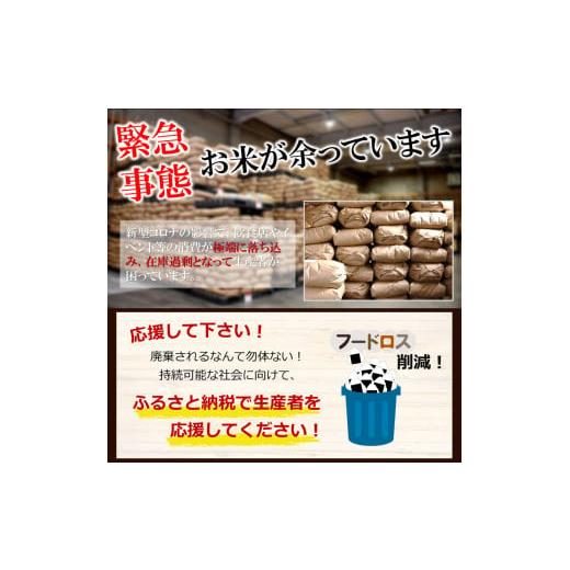 ふるさと納税 熊本県 玉名市 【定期12回】 こめ 福袋 無洗米 10kg 九州 グルメ ふりかけ 5品 〜 うに ふりかけ と 4種 の お楽しみ ふりかけ 〜 ｜ 米 無洗米 …｜furusatochoice｜08