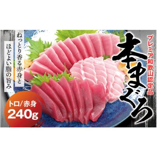ふるさと納税 マグロ 和歌山県 新宮市 本マグロ(養殖)トロ&赤身セット 240g 1か月以内に発送 配達指定日不可 高級 クロマグロ 中トロ 中とろ まぐろ マグロ…