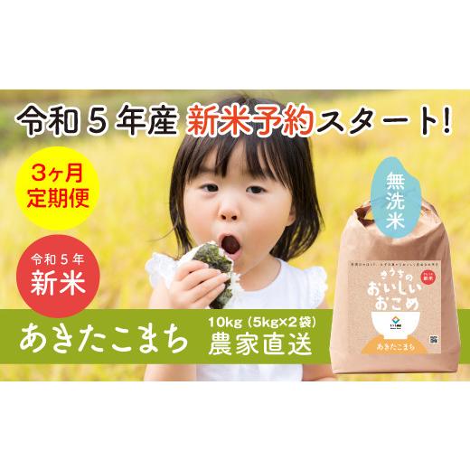 ふるさと納税 茨城県 稲敷市 新米【3ヶ月定期便・令和5年産】農家直送 稲敷市産 無洗米あきたこまち 10kg (5kg×2) [0629] 