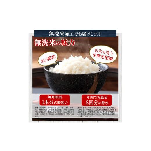 ふるさと納税 熊本県 玉名市 こめ 福袋 無洗米 10kg 九州 グルメ ふりかけ 5品 〜 うに ふりかけ と 4種 の お楽しみ ふりかけ 〜 ｜ 米 無洗米 ふりかけ 熊本…｜furusatochoice｜07