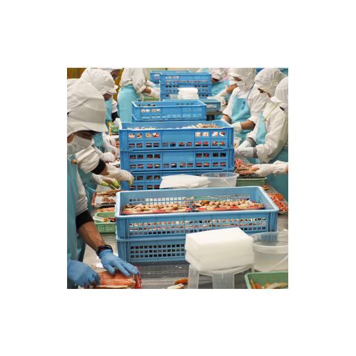 ふるさと納税 茨城県 大洗町 ボイル たらばがに 爪 400g 弥七商店 かに弥 たらば蟹 タラバガニ かに カニ 蟹 タラバ 鍋 焼きガニ 