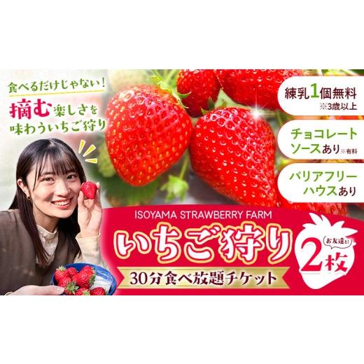 ふるさと納税 体験チケット 千葉県 東庄町 体験 いちご狩り 30分 食べ放題 チケット 2枚 有限会社磯山観光いちご園[60日以内に出荷予定(土日祝除く)]千葉県 …