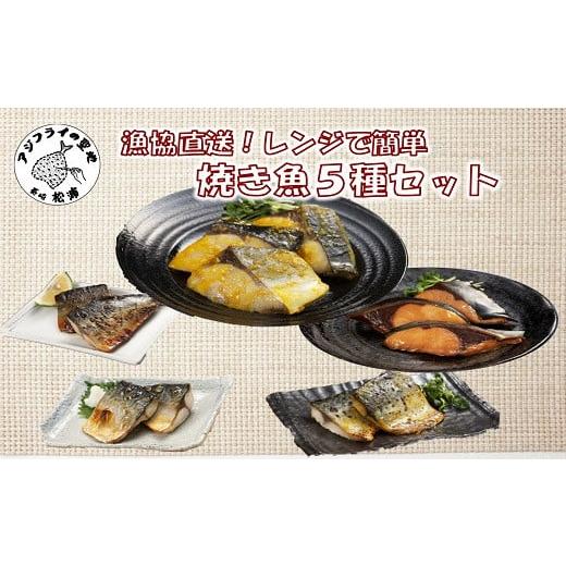 ふるさと納税 長崎県 松浦市 [B3-054]漁協直送!レンジで本格焼き魚5種セット さば サバ ぶり ブリ 焼き魚 塩焼き みりん焼き 西京焼き 簡単調理 電子レンジ