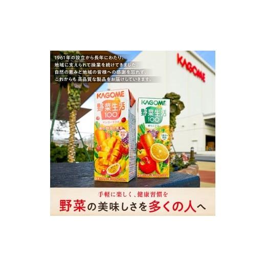 ふるさと納税 野菜類 ジュース 栃木県 那須塩原市  定期便3ヵ月 カゴメ 野菜ジュース 食塩無添加 160g缶×30本 1ケース ns001-020 KAGOME 防災 備蓄 野菜ジュ…の画像
