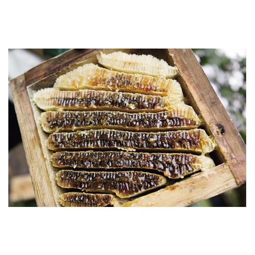 ふるさと納税 加工品等 はちみつ 山梨県 北杜市 日本みつばちのはちみつ（山桜の匙と） はちみつ 190g 山桜の匙 1本 セット ハニー 非加熱濾過 ハチミツ 日本…の画像