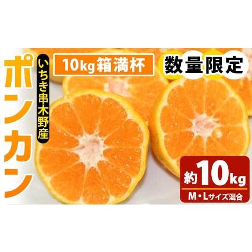 ふるさと納税 果物類 みかん 鹿児島県 いちき串木野市 先行予約 ＼数量・期間限定/池之上果樹園 の 旬 の ポンカン M・Lサイズ混合 10kg 箱満杯バラ詰め〜20…