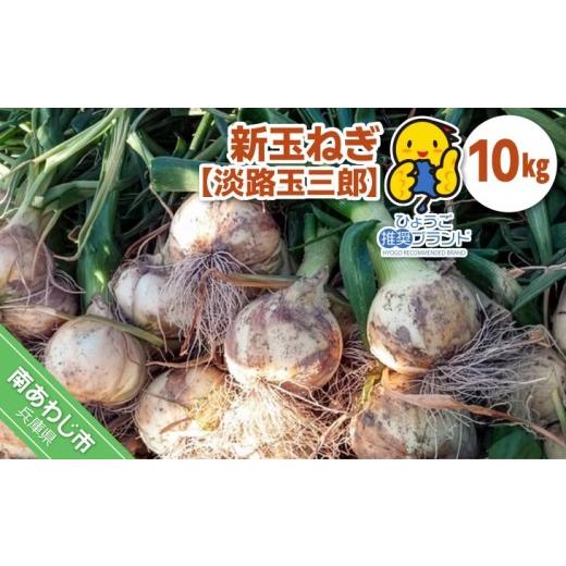 ふるさと納税 野菜類 玉ねぎ 兵庫県 南あわじ市  新玉・ひょうご推奨ブランド 新玉ねぎ（淡路玉三郎）10kg 配送３月上旬〜５月中旬の画像