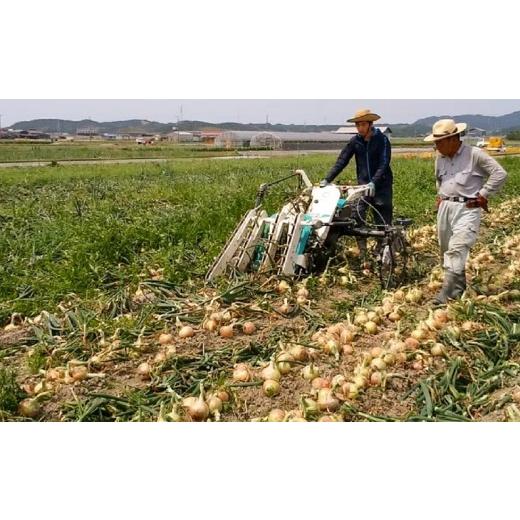 ふるさと納税 野菜類 玉ねぎ 兵庫県 南あわじ市  新玉・ひょうご推奨ブランド 新玉ねぎ（淡路玉三郎）10kg 配送３月上旬〜５月中旬の画像
