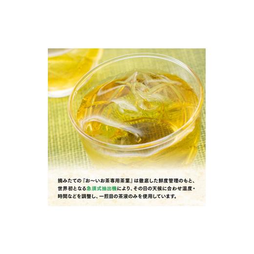 ふるさと納税 お茶類 緑茶（飲料） 宮崎県 川南町  12ケ月定期便 伊藤園 お〜いお茶 緑茶 2L×6本×２ケース PET 飲料類 ソフトドリンク ペットボトルの画像