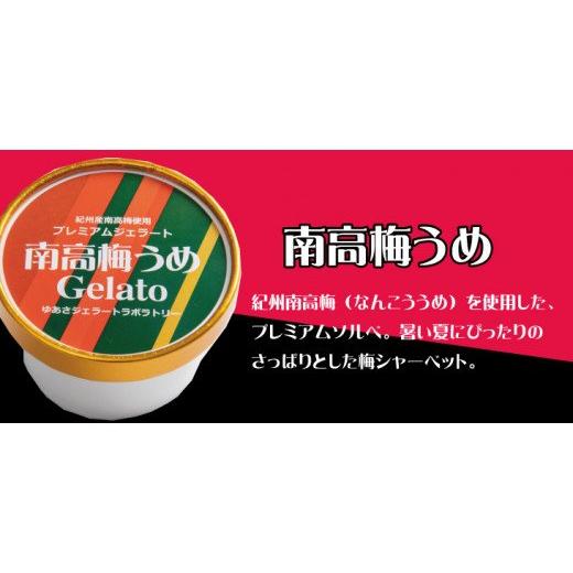ふるさと納税 アイス・ヨーグルト ジェラート 和歌山県 新宮市 プレミアムジェラート 南高梅うめソルベ12個セット アイスクリームセット 100mlカップ ゆあさジ…