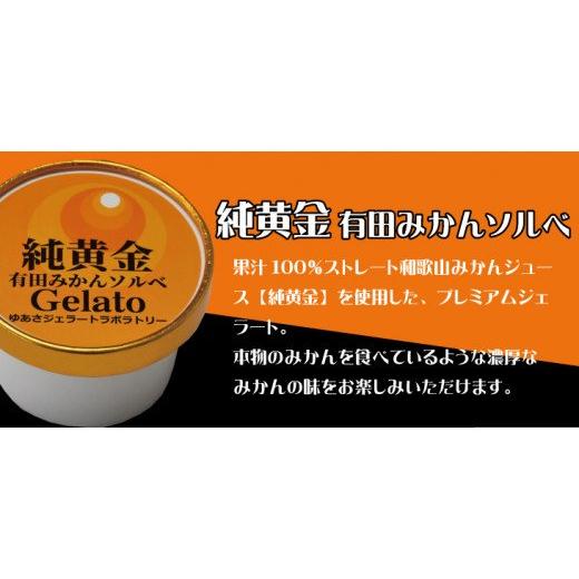 ふるさと納税 和歌山県 新宮市 プレミアムジェラート 純黄金12個セット 有田みかんソルベ アイスクリームセット 100mlカップ ゆあさジェラートラボラトリー 純…