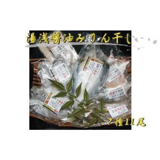 ふるさと納税 和歌山県 新宮市 湯浅醤油みりん干し7品種11尾入りの詰め合わせ