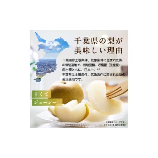 ふるさと納税 梨 千葉県 八千代市 2026年発送先行受付 周郷梨園のやちよ100年梨(3kg) 1493887_2