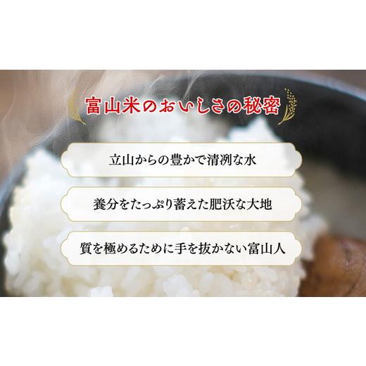 TOKUKO 1er VOL トクコ ワンピース お花 葉っぱ アップリケ 鳥や花、虫