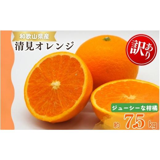 ふるさと納税 果物類 みかん 和歌山県 新宮市 ご家庭用訳アリ 紀州有田産清見オレンジ 7.5kg 2027年3月下旬頃〜2027年4月下旬頃に順次発送予定(お届け日指定…