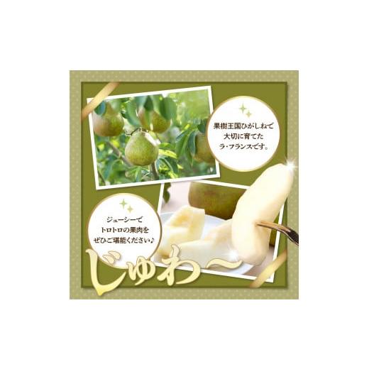 ふるさと納税 梨 山形県 東根市  2回定期便 2026年 ラ・フランス＆山形牛コース (2026年10月以降お届け） hi999-041の画像