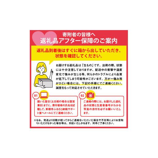 ふるさと納税 梨 山形県 東根市  2回定期便 2026年 ラ・フランス＆山形牛コース (2026年10月以降お届け） hi999-041の画像